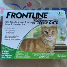 Frontline plus for cats Frontline Plus Flea & Tick Spot Treatment