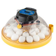 Food Cookers 24-Egg Capacity Maxi