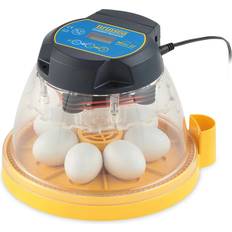 Egg Cookers Mini II Advance Chicken Egg