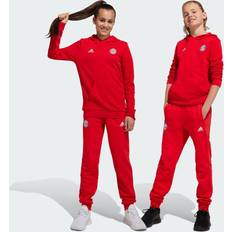 FC Bayern München Hosen & Shorts adidas Sweatpant Lifestyle