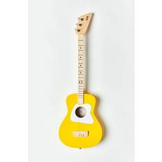 Pro Acoustic Guitar