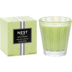Green Scented Candles NEST New York Lime Zest & Matcha Scented Candle 8.1oz