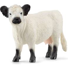 Kühe Figurinen Schleich Galloway Cow 13960