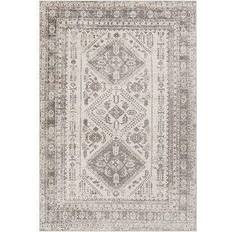 Polyester Carpets & Rugs Surya Lavadora Brown 94x120"