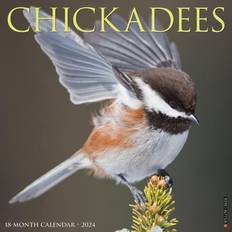 Willow Creek Press Office Supplies Willow Creek Press Chickadees 2024 Calendar