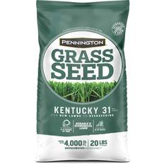 Pennington Pots, Plants & Cultivation Pennington Kentucky Grass Sun Grass Seed