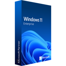 Operating Systems Microsoft Windows 11 Enterprise