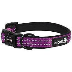 Alcott Adventure Collar, Purple, Model: CLR MD AC PL