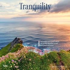 2024 BrownTrout Tranquility Monthly Wall Calendar 9781975465421
