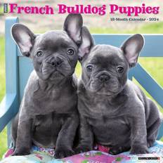 Willow Creek Press Calendar & Notepads Willow Creek Press Just French Bulldog Puppies 2024