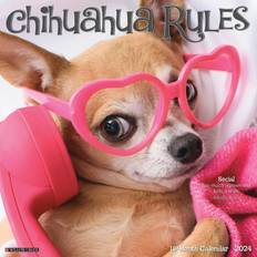 Willow Creek Press Office Supplies Willow Creek Press 2024 Calendar Chihuahua