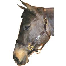 Horse Halters on sale Leather Track Halter