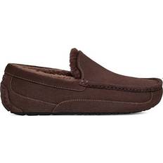 Ugg ascot UGG Ascot - Dusted Cocoa