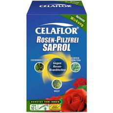 Unkrautbekämpfung Celaflor Evergreen Rosen-Pilzfrei Saprol Konzentrat