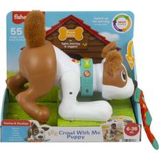 Fisher price puppy Fisher Price Crawl with Me Puppy