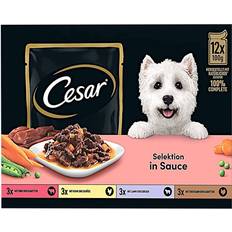 Cesar Selection Meat and Vegetables in Sauce 96x100g