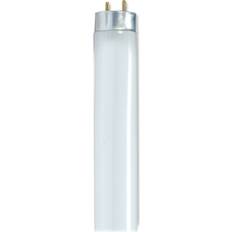 Cool White Light Bulbs Satco S8420 Fluorescent Lamps 32W G13