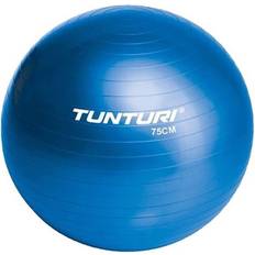 Tunturi Exercise Balls Tunturi Gym Ball 55cm