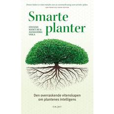 Potter, Planter & Dyrking Smarte planter den overraskende vitenskapen