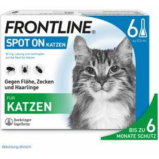 Frontline Haustiere Frontline Spot on K Lösung f.Katzen 6 St.