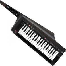 Korg Keyboards Korg RK-100S 2