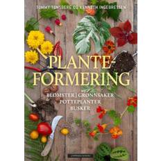 Frø Planteformering : blomster, grønnsaker, potteplanter, busker