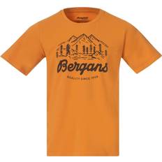 Bergans T-Shirts & Tanktops Bergans Men's Classic V2 Tee, Golden Field
