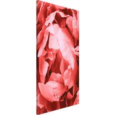Rosa Pinnwände Magnettafel Blumen Hochformat 3:4 Pinnwand