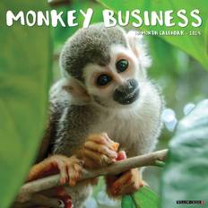 Willow Creek Press Office Supplies Willow Creek Press Monkey Business 2024