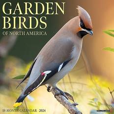 Willow Creek Press Office Supplies Willow Creek Press Garden Birds 2024
