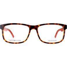 Men - Orange Glasses Tommy Hilfiger th1446 l9g havana orange men