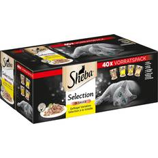 Sheba Haustiere Sheba Sauce Geflügel Variation Multipack 40x85g