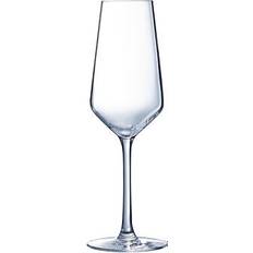 Arcoroc Champagneglass Arcoroc Vina Juliette Champagneglass 6st