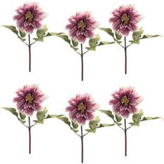 Floral stems • Compare (37 products) see price now »