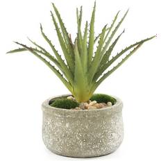 Bed Bath & Beyond Jenny Silks Real Touch Faux Aloe Plant Modern Round Garden Pot