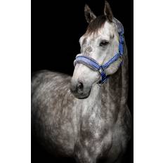 Grimer Källquist Equestrian- Grime Horse Unique Royal Blå X-Full