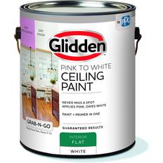 Grab-N-Go Interior Ceiling Paint, Wall Paint Pink