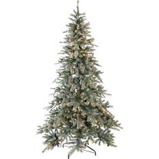 Weiß Weihnachtsbäume Evergreen Fichte Weihnachtsbaum