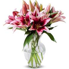 Birthday Flowers, Flowers for Weddings, Easter Flowers, Christmas Flowers Lilies Bouquet Bunches 1