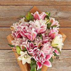 Lily Flowers Charisma Bunches 1