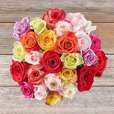 Exuberance Rose Bouquet Bunches 1