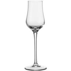 Glas Schnapsgläser Leonardo ciao+ grappaglas extrem Schnapsglas 8cl 6Stk.