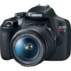 Canon EOS Rebel T7 + EF 18-55mm F3.5-5.6 + EF 75-300mm F4-5.6 III