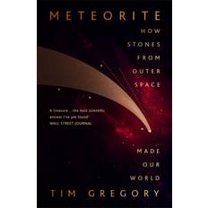 Meteorite How Stones From Outer Space Made Our World
