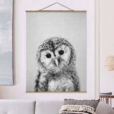 Tiere Poster Baby Owl Erika Black/White Poster 35x46.5cm