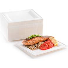 https://www.klarna.com/sac/product/232x232/3017423292/8-inch-Disposable-Plates-Paper-Plates-Alternative-Compostable-Plates-Heavy-Duty-%5BPack-of-60%5D-Eco-Friendly-100-Natural-Sugarcane-Bagasse-Fiber-Biodegradable-by-brheez.jpg?ph=true