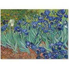 Vault W Irises 1889 Vincent Van Gogh