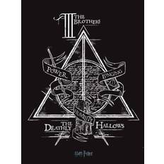 Harry Potter Deathly Hallows Multicolor Poster