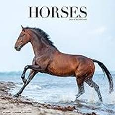 Måned Kalendere Horses Calendar 2024 Square Horses Wall Calendar 16 Month