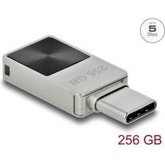 256 GB - Class 10 Minnepenner DeLock 54009 USB Stick, 256GB, silber/ vernickelt